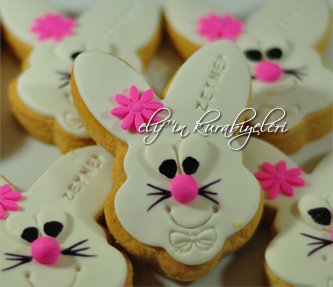 Cookies for the Celebration of First Tooth