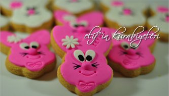 Cookies for the Celebration of First Tooth