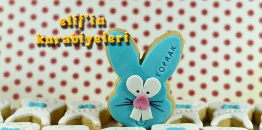 First Tooth Celebration Cookie