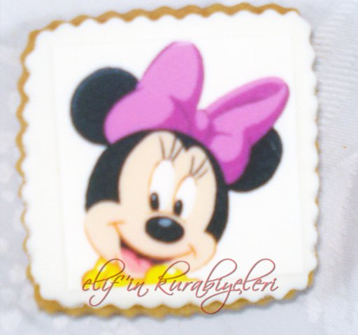 Photo / Picture / Logo Cookies