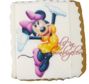 Photo / Picture / Logo Cookies