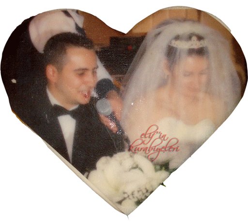 Photo / Picture / Logo Cookies