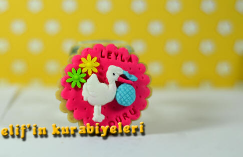 Welcome Baby - Baby Shower Cookies