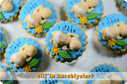 Welcome Baby - Baby Shower Cookies
