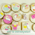Welcome Baby / Baby Shower Cookies