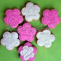 Welcome Baby / Baby Shower Cookies