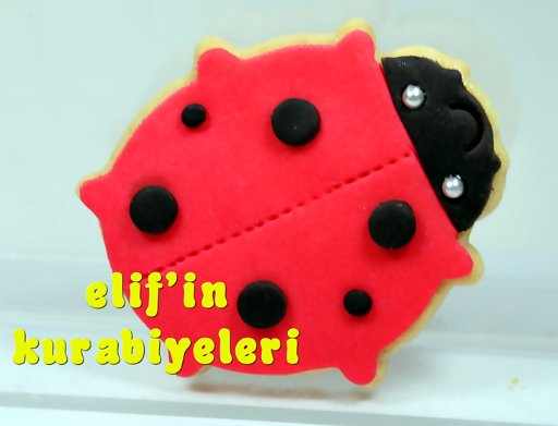 Mothers Day Cookies!