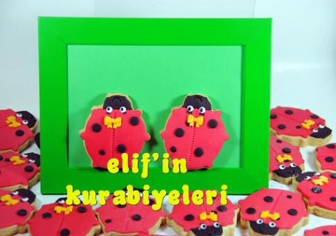 Do�umg�n� Kurabiyeleri