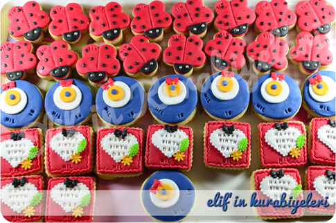 Do�umg�n� Kurabiyeleri