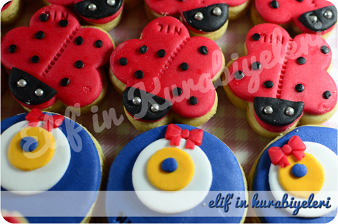 Do�umg�n� Kurabiyeleri