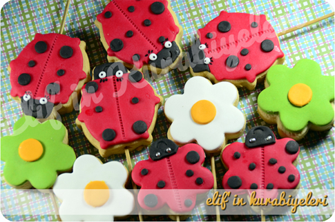 Do�umg�n� Kurabiyeleri