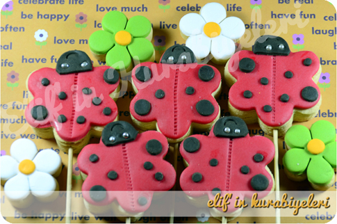 Do�umg�n� Kurabiyeleri