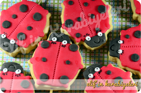 Ho�geldin Bebek / Baby Shower Kurabiyeleri